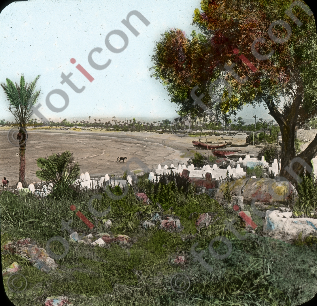 Die Haifa-Bucht | The Haifa Bay - Foto foticon-simon-129-004.jpg | foticon.de - Bilddatenbank für Motive aus Geschichte und Kultur